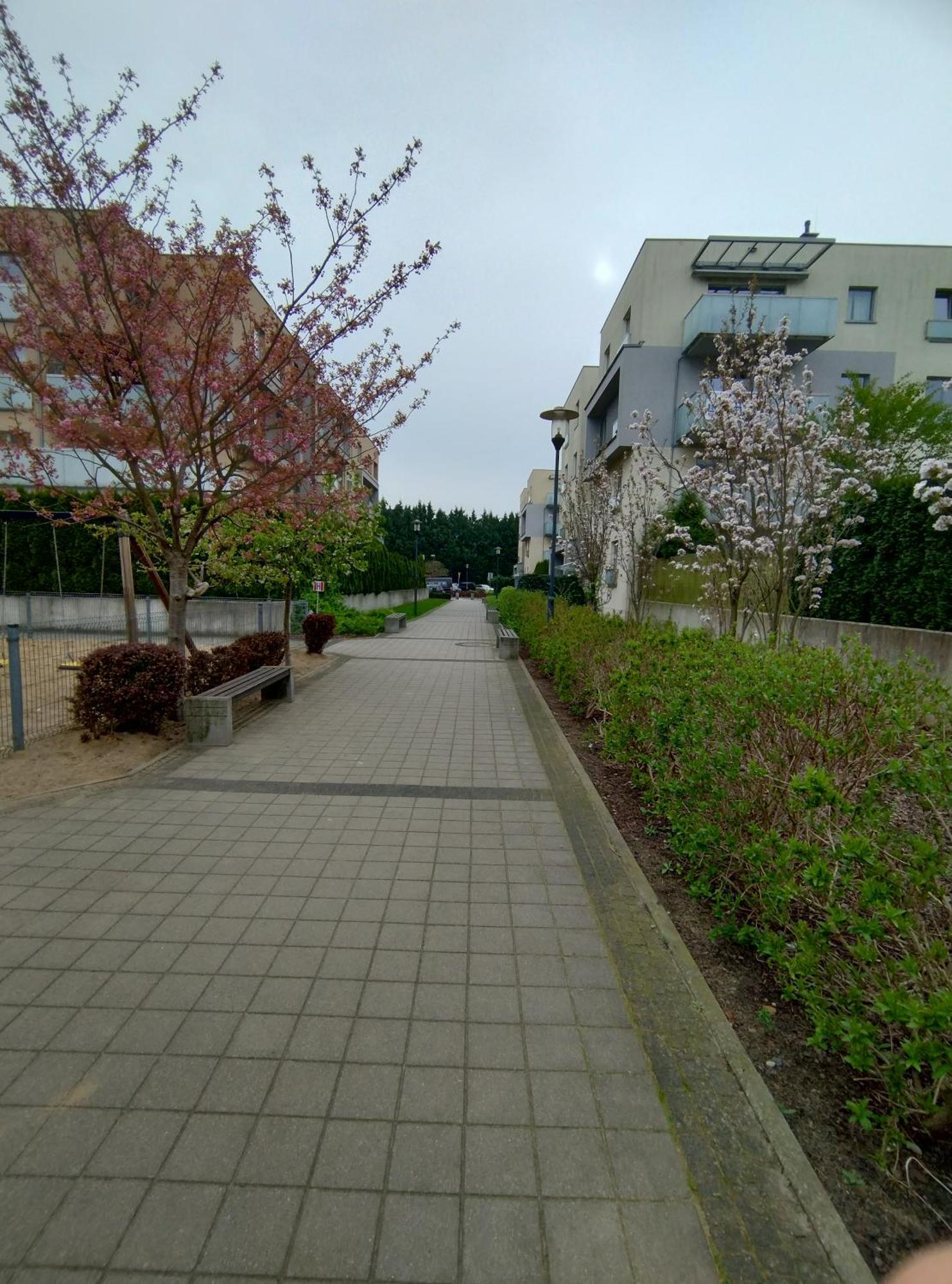 Apartament 1E Barbakan Szczecin Luaran gambar